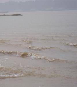 快乐的毛楼游作文