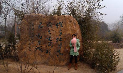 舌尖上的新年——逛庙会作文