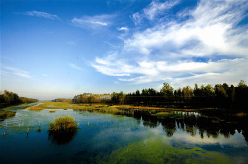 国庆游感——濮阳之美作文