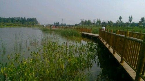 国庆游感——濮阳之美作文