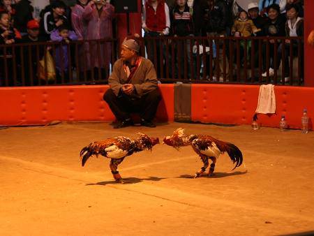 λǧ꣬ΡΡ