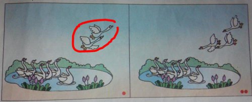 ѧ۲죬Ծ붯