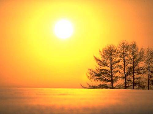 冬天的色彩作文