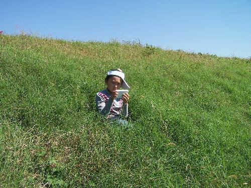 如诗如画的柴河作文