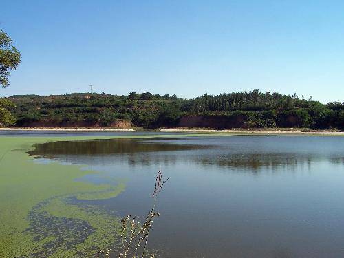 如诗如画的柴河作文