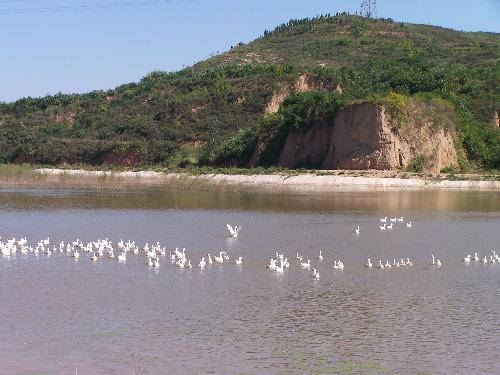 如诗如画的柴河作文