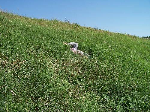 如诗如画的柴河作文