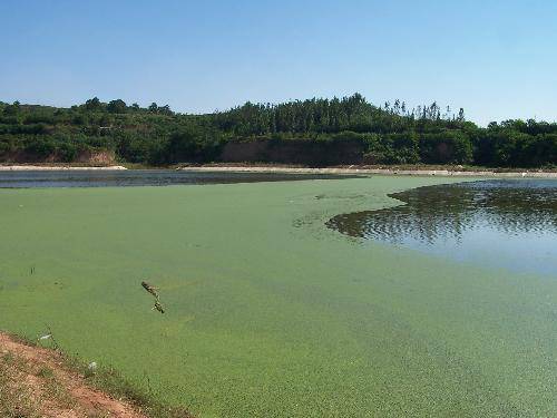 如诗如画的柴河作文