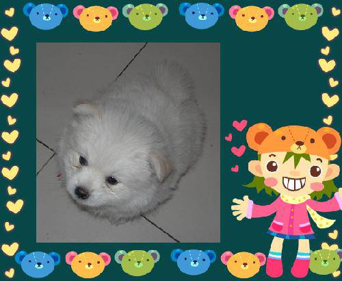 ҵС顪
