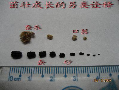 ۲ռǡϣ壩