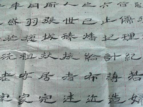 晾晾女儿的作品作文