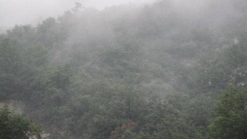 天池山快乐之旅——玉女溪里真美丽作文