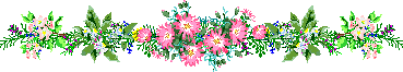 Ѽǧָߣģ -  - ͵Ĳ  ˣ
