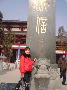 点点第一次赶庙会!(附多图)作文