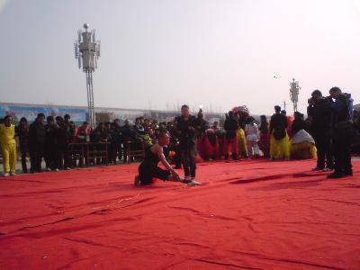 点点第一次赶庙会!(附多图)作文