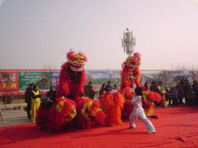 点点第一次赶庙会!(附多图)作文