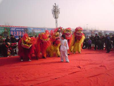 点点第一次赶庙会!(附多图)作文