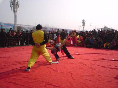 点点第一次赶庙会!(附多图)作文