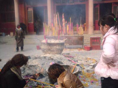 点点第一次赶庙会!(附多图)作文