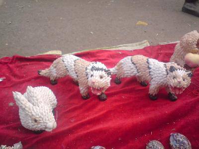 点点第一次赶庙会!(附多图)作文