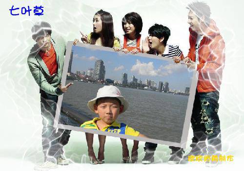 ����Ƭ����