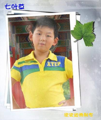 ����Ƭ����