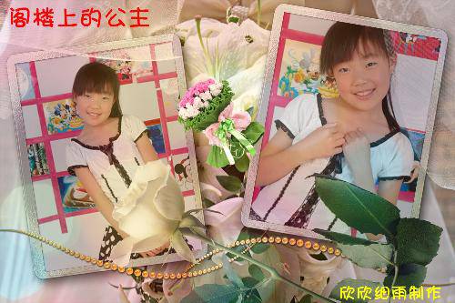 ����Ƭ����