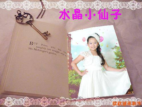 ����Ƭ����