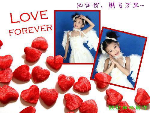 ����Ƭ����