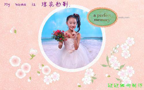 ����Ƭ����