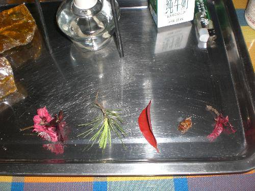 ꣨Сʵ飩