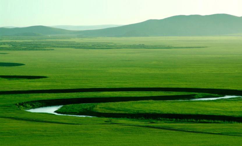 我的根在草原——《草原儿女心向党,保护母亲河征文》作文