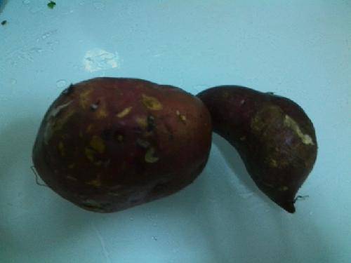 自做红薯条【附图~】作文