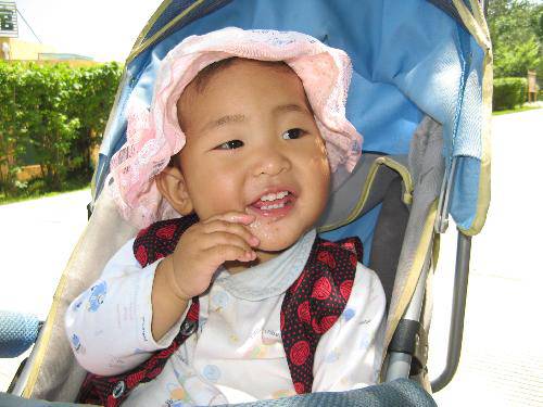 中国“夏都”西宁游记一——野生动物园作文