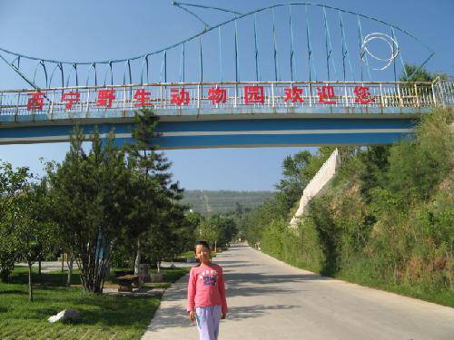 中国“夏都”西宁游记一——野生动物园作文