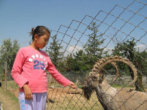 中国“夏都”西宁游记一——野生动物园作文