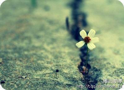 你不勇敢,没人替你坚强作文