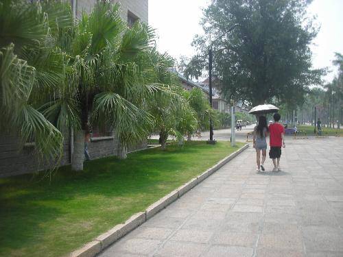 我的夏令营之旅(一)——走进厦门大学作文