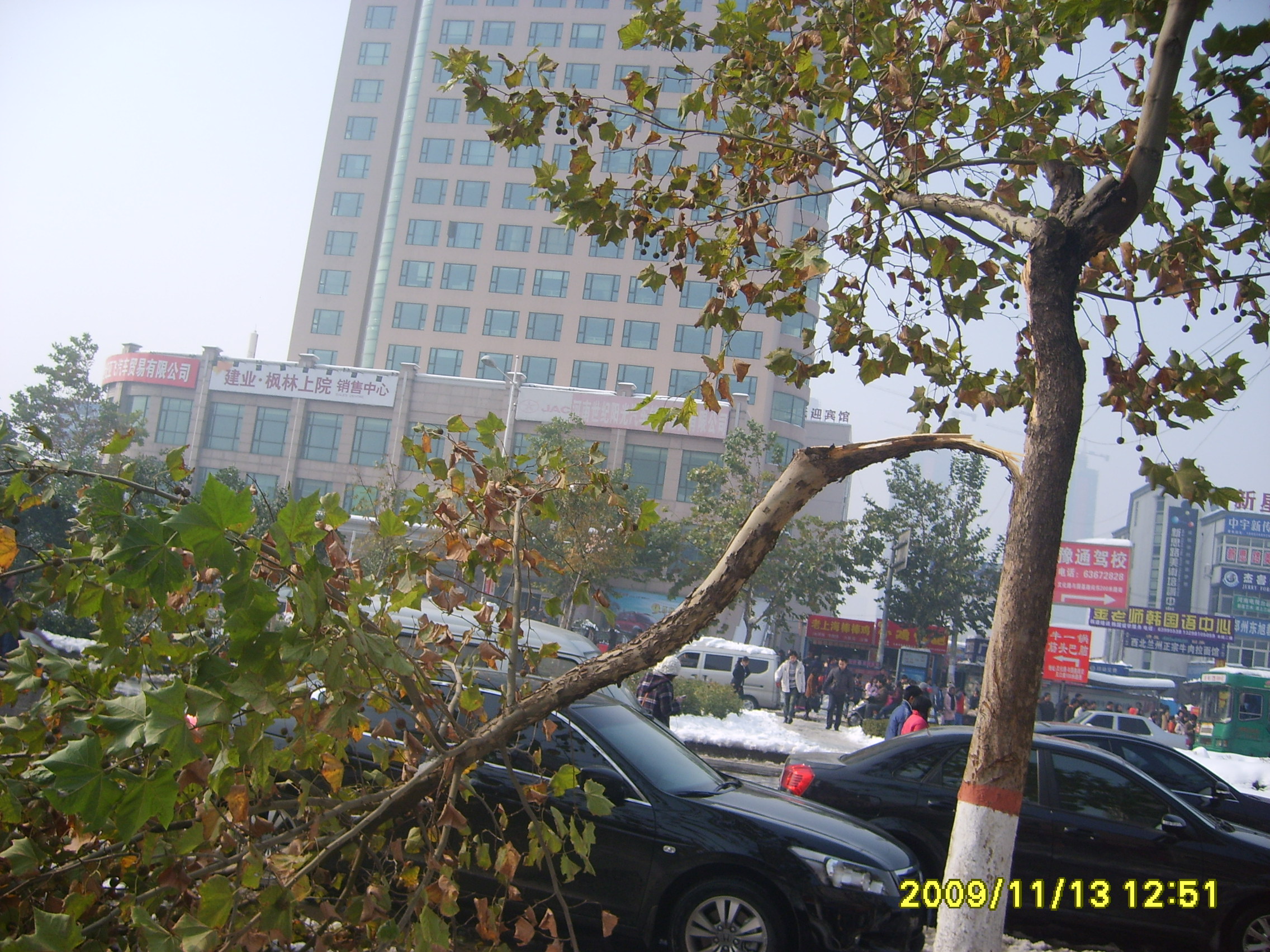 小雪花的启示作文