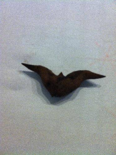 Ǻͼ