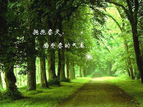 拥抱春天 感受美丽作文