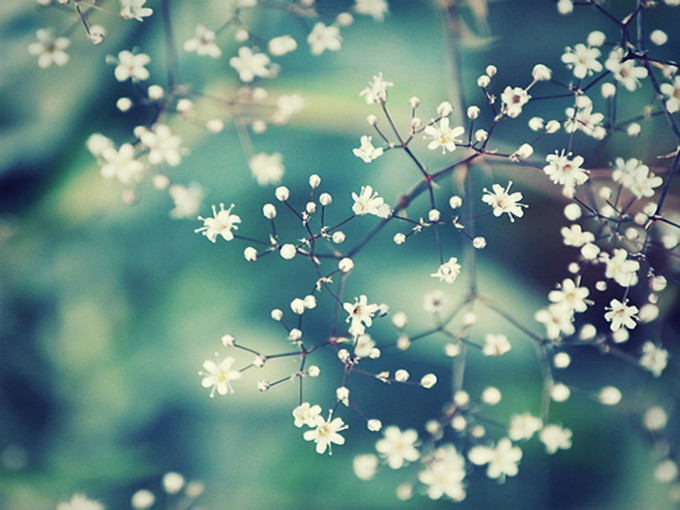 İϻڻķ
