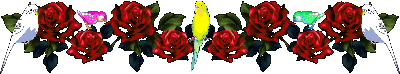 Ưķָ06-18 - ı - ֺ