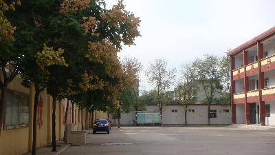 美丽的校园与非洲简陋的教室(图16张)作文