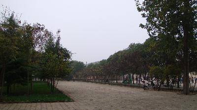 美丽的校园与非洲简陋的教室(图16张)作文