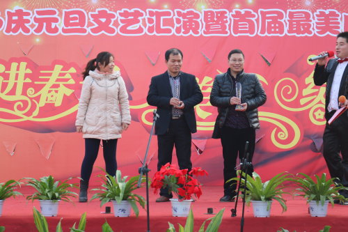 走进春天 美丽绽放作文