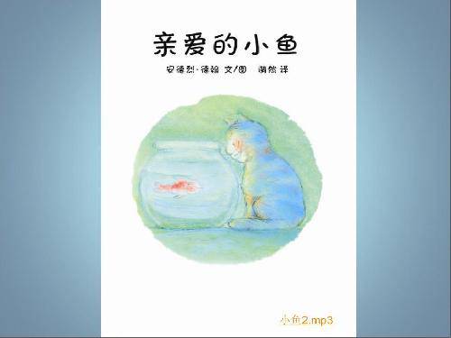 汾װС㡷