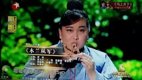 贾玲,你真的认真了吗?作文