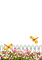 --̶һ