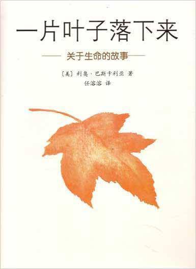  ---汾һƬҶ